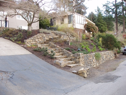 ap4010009.jpg