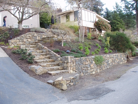 ap4010010.jpg