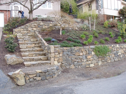 ap4010011.jpg