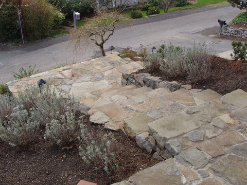 ap4010014.jpg