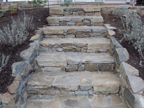 ap4010016.jpg