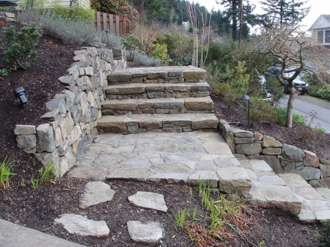 ap4010017.jpg
