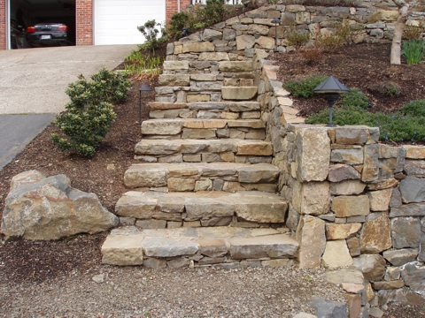 ap4010018.jpg