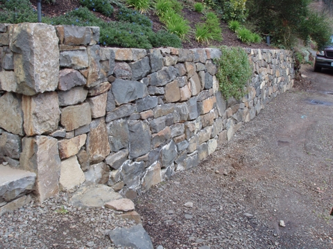 ap4010019.jpg
