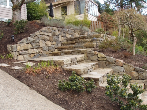 ap4010020.jpg