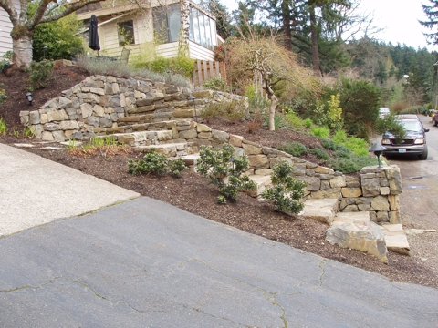 ap4010021.jpg