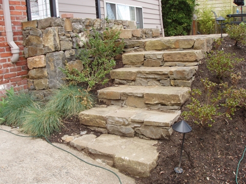 ap4010022.jpg