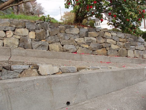 ap4010024.jpg
