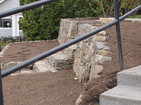 ap4010029.jpg