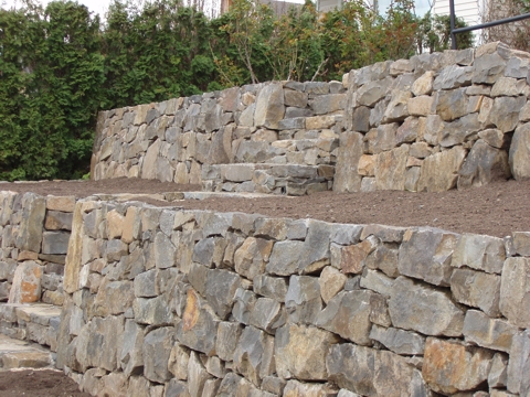ap4010030.jpg