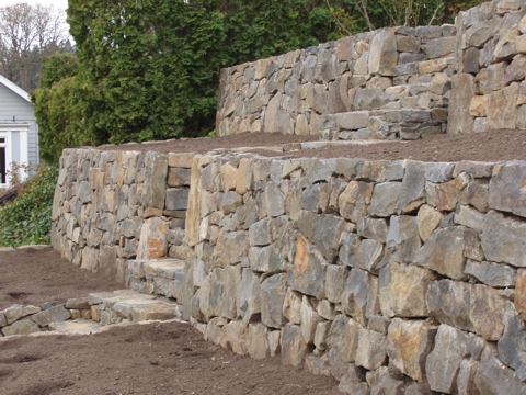 ap4010031.jpg
