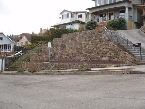ap4010036.jpg