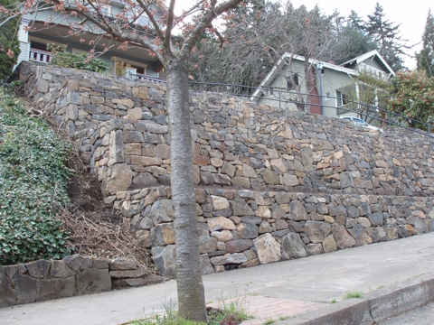 ap4010038.jpg