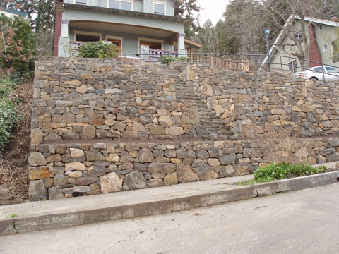 ap4010039.jpg
