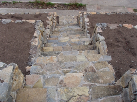 ap4010046.jpg