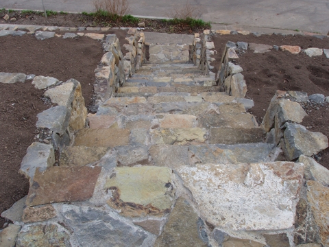 ap4010047.jpg