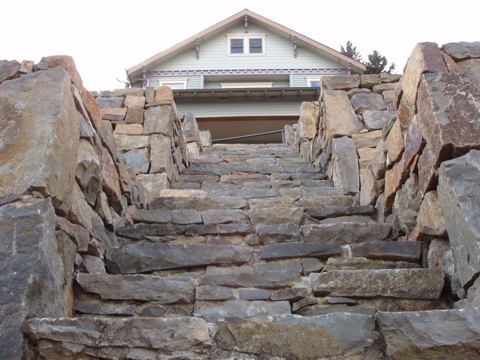 ap4010049.jpg