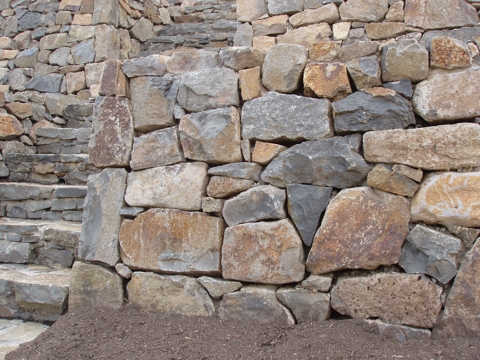 ap4010053.jpg