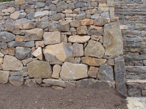 ap4010054.jpg
