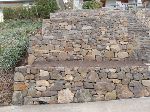 ap4010055.jpg