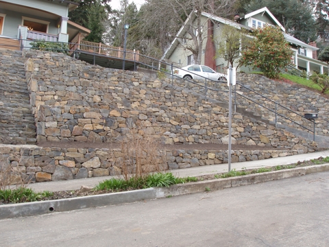ap4010056.jpg