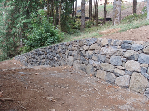 aPA070005.jpg
