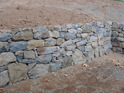 aPA070007.jpg