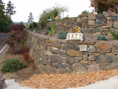 aPA070015.jpg