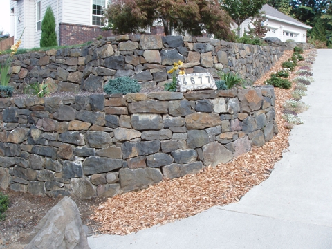 aPA070016.jpg
