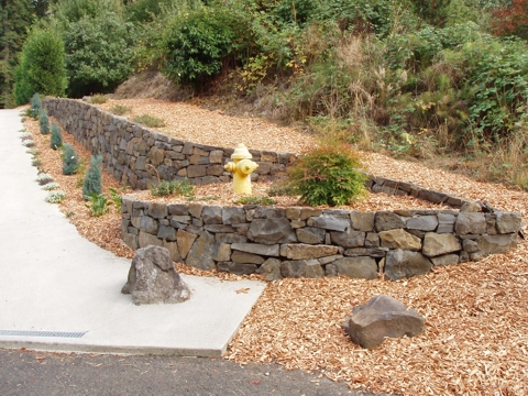 aPA070017.jpg