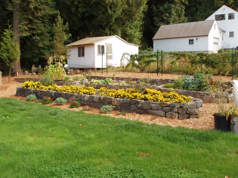 aPA070018.jpg