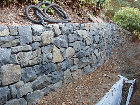 aPA070054.jpg