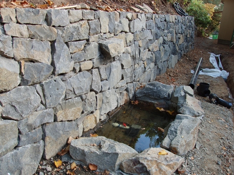 aPA070056.jpg