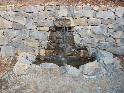 aPA070058.jpg