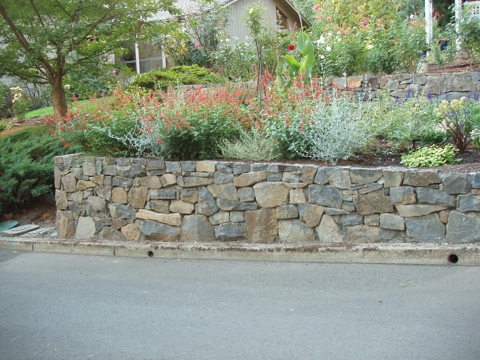 aPA070059.jpg