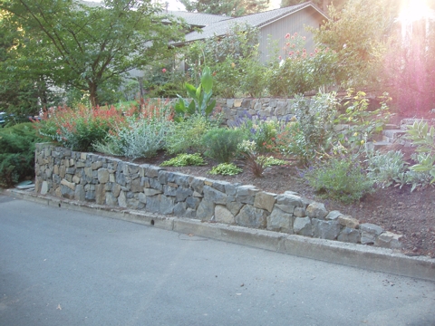 aPA070060.jpg