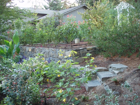 aPA070061.jpg