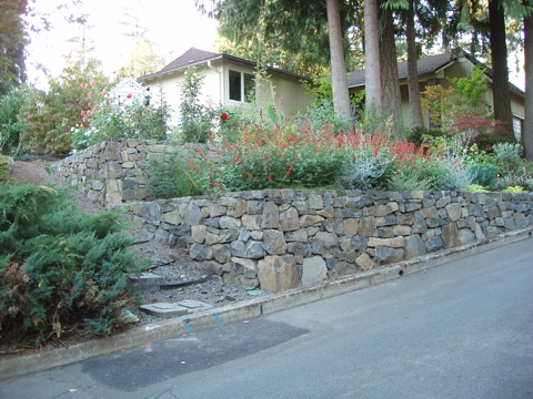 aPA070063.jpg