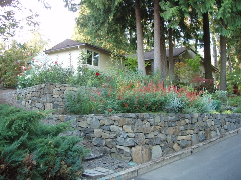 aPA070064.jpg