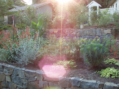 aPA070065.jpg
