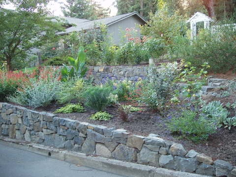 aPA070066.jpg