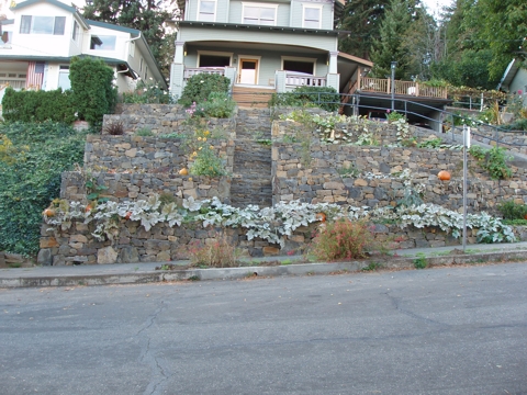 aPA4010060.jpg