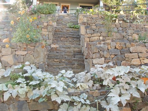 aPA4010063.jpg