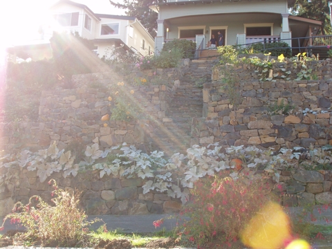 aPA4010064.jpg