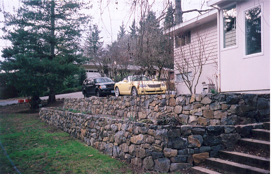 scan0002.jpg