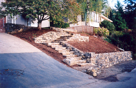 scan0006.jpg
