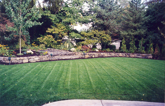 scan0015.jpg